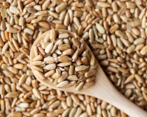 Dry Roasted Sunflower Seed Kernels with Himalayan Salt - Image 3