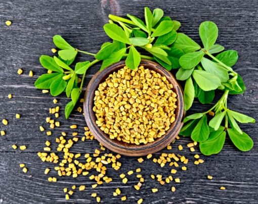 Organic Fenugreek Seeds - Image 2