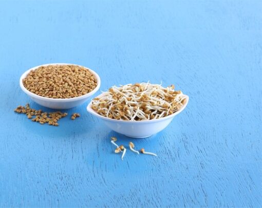 Organic Fenugreek Seeds - Image 4