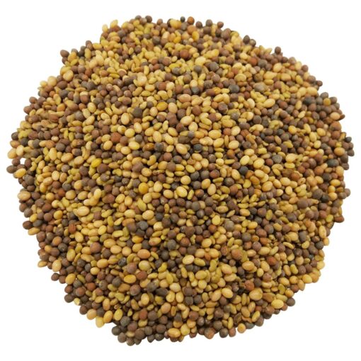 Antioxidant Mix of Sprouting Seeds