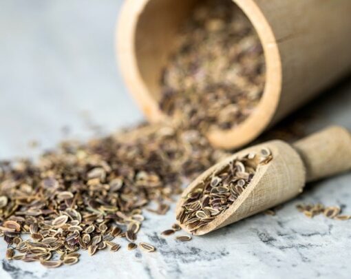 Organic Dill Seeds - Image 2
