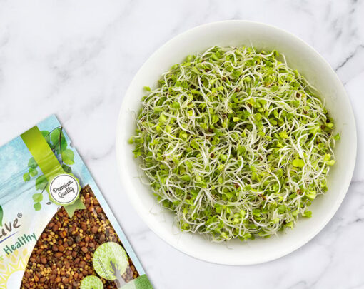 Salad Mix of Sprouting Seeds - Image 2