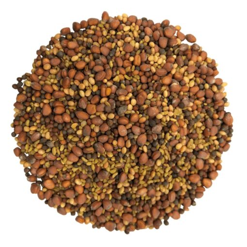Salad Mix of Sprouting Seeds